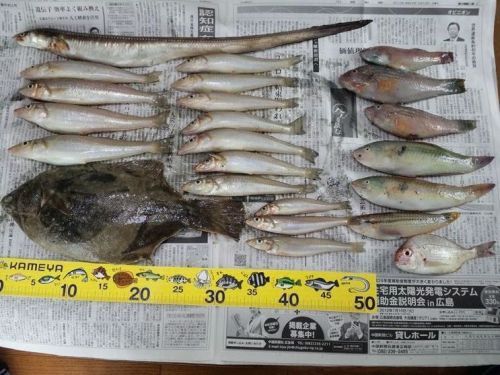 2012-6-24-1_R(V.2012_07_11__12_11_52).jpg