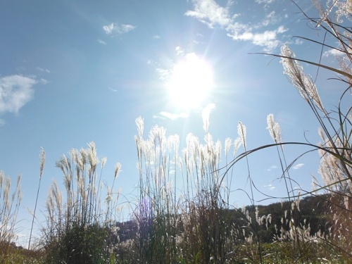 20131105_03.jpg