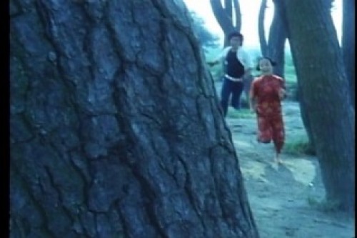 PDVD_108.jpg