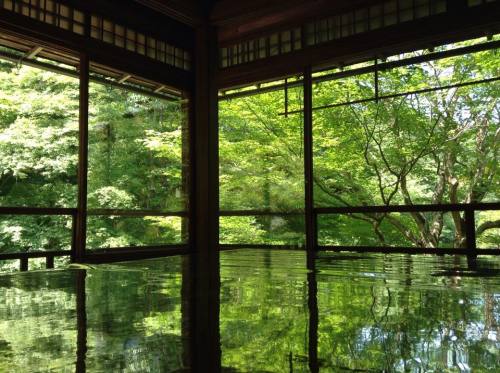 2016-05-21 14.瑠璃光院