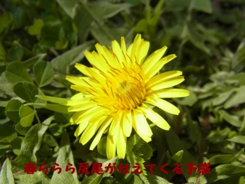 @R0011461.JPG