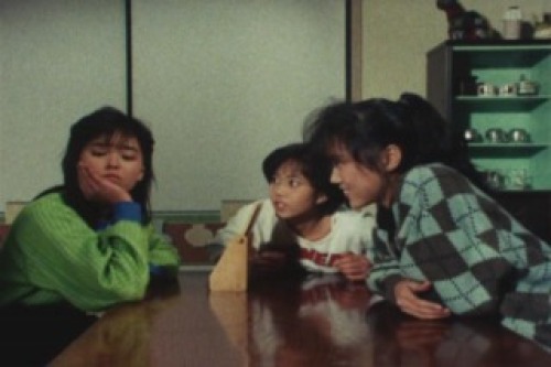 PDVD_002.jpg