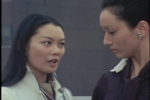 PDVD_046.jpg