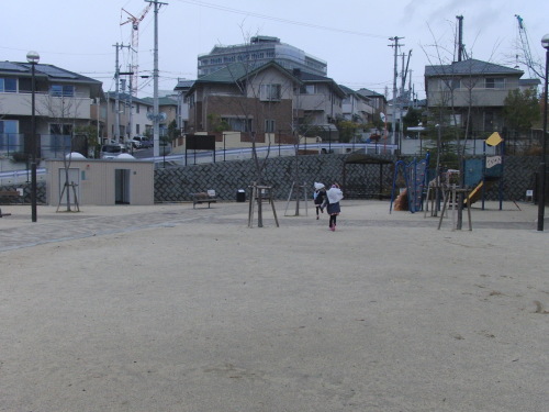 CIMG8931.JPG