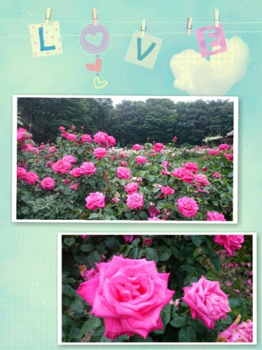 CYMERA_20160611_091108.jpg