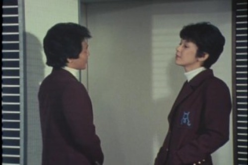 PDVD_041.jpg