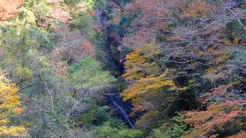 木谷峡ー平家岳 山屋のページ 楽天ブログ