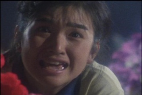 PDVD_043.jpg
