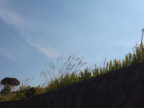 R0011745.JPG