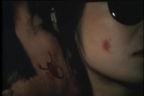PDVD_110.jpg