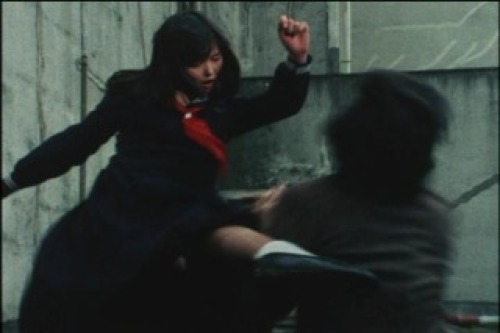 PDVD_014.jpg