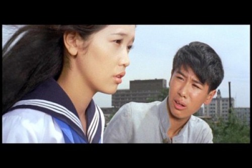 PDVD_072.jpg
