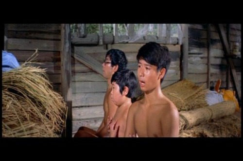 PDVD_104.jpg