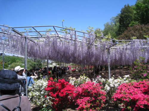 2013_0502_121617-IMG_1794.JPG
