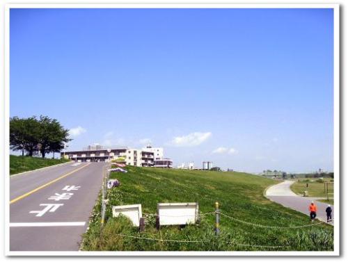 東京 葛飾柴又 京成柴又駅周辺 観光 柴又公園 江戸川土手 つつじ 芝桜 こいのぼり 写真 004.jpg