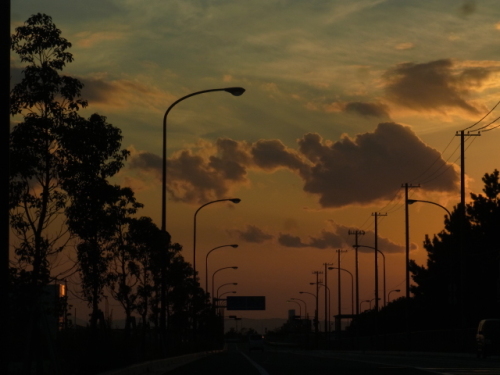 RIMG0734.JPG