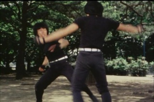 PDVD_040.jpg