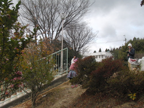 CIMG9074.JPG