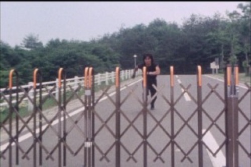 PDVD_005.jpg