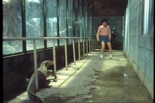 PDVD_045.jpg