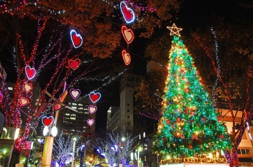 こきっつぁんのミッドナイトメルヘン ひとりぼっちのクリスマスイブ ２０１３ こきっつぁんの７６５evening プラス１ 楽天ブログ