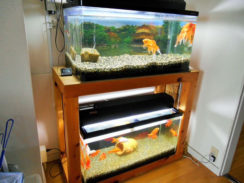 金魚水槽 90センチ - 新潟県の家具