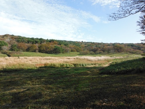20131105_02.jpg