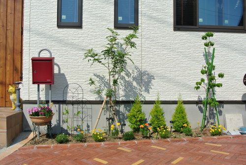 小さな庭のガーデニング 14 5月 小さな家で 小さな暮らし 楽天ブログ