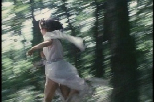 PDVD_028.jpg