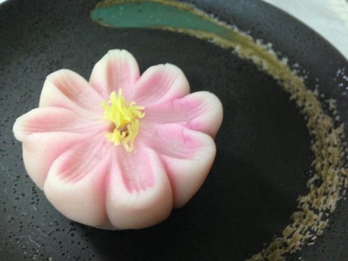 いと重・秋桜.jpg