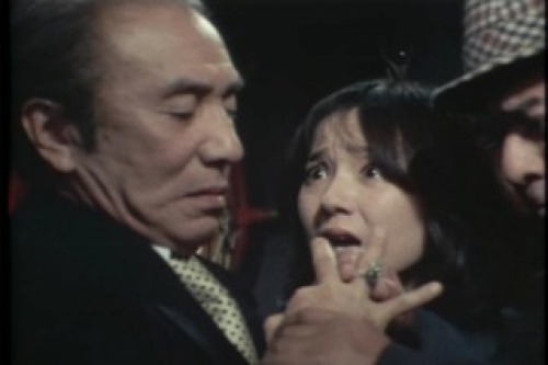 PDVD_192.jpg