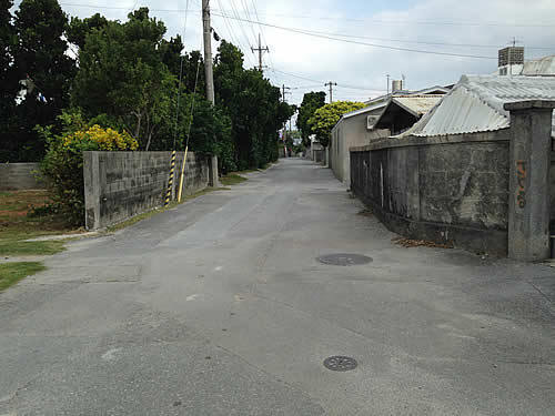 riri-house.jpg