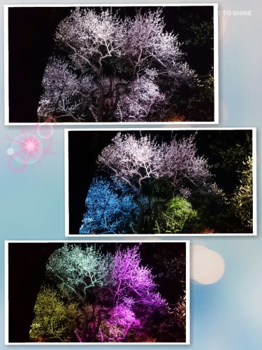 CYMERA_20170324_084023.jpg