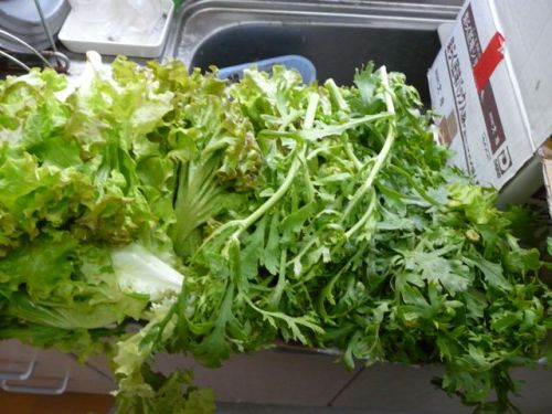 お土産