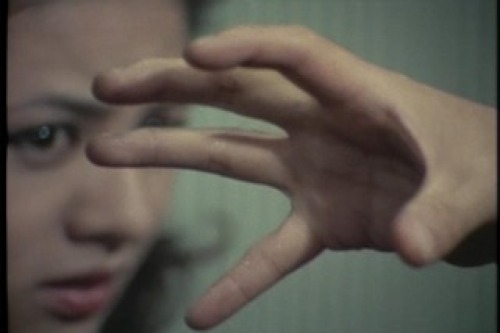PDVD_193.jpg