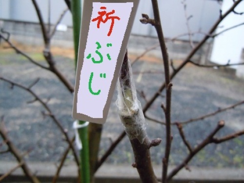 DSCN2110.JPG