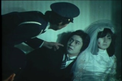 PDVD_046.jpg
