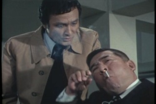 PDVD_028.jpg