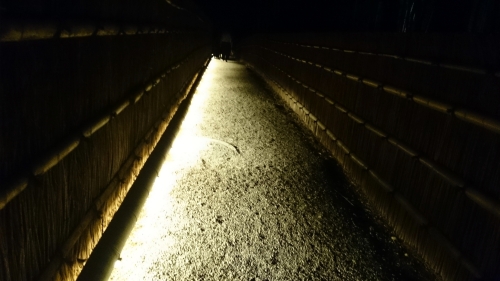 CYMERA_20170323_181918.jpg