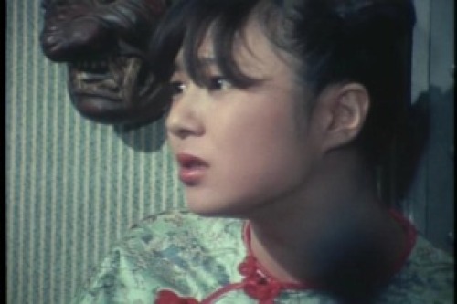 PDVD_151.jpg