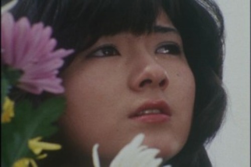 PDVD_020.jpg