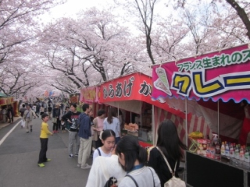 墨俣桜まつりイベントが開催されました 週末イベント報告１ 大垣市ブログ 楽天ブログ