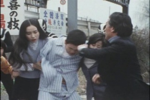 PDVD_011.jpg