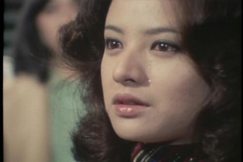 PDVD_227.jpg
