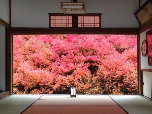 2015-11-10 03.安国禅寺