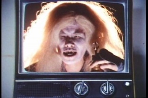 PDVD_087.jpg