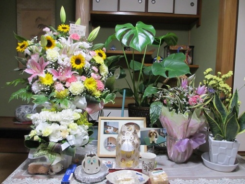 楽天婆2.jpg
