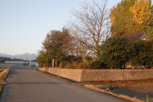 2010.10.16 041.jpg