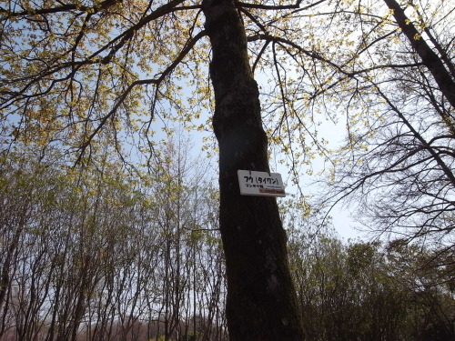 R0013401.JPG