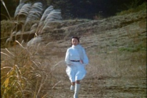 PDVD_032.jpg